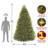 9ft. Dunhill Fir Tree with Dual Colour LED Lights