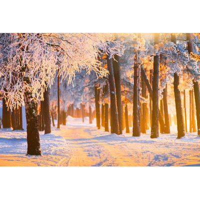 Winter Forest - Wrapped Canvas Print