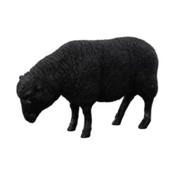 Phillips Collection
Black Sheep Sculpture Gel Coat