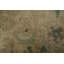 Tapis traditionnel beige en soie Timeless 7x7