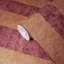 Papier peint à rayures Sennott