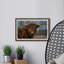Woolly Coat - Single Picture Frame Print-2083614778