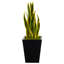 Plante artificielle en pot-379941338-379941340