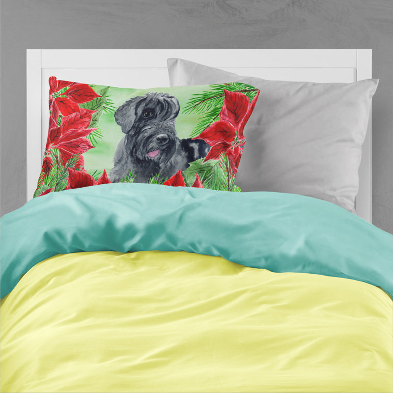 Microfiber, Giant Schnauzer