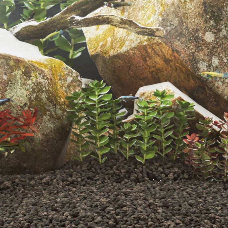 Lindale Aquarium Decoration