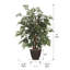 Buisson artificiel Mal Aralia-1742649308
