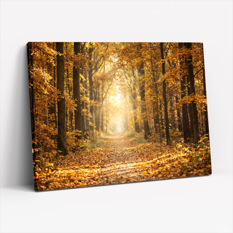 Ensemble de 1 tableau sur toile tendue représentant un chemin forestier d'automne, H 20 po x l 30 po