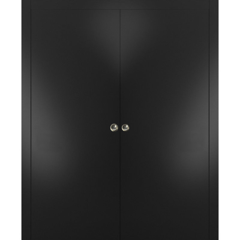 Portes coulissantes Planum Flush, 72 po x 84 po