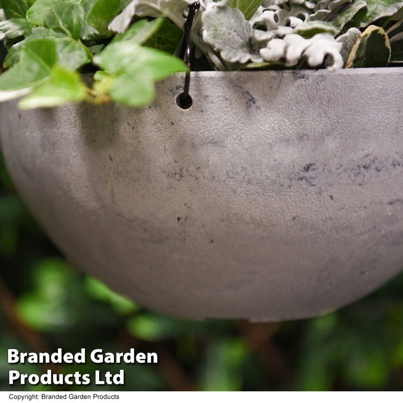 Cardone Hanging Planter