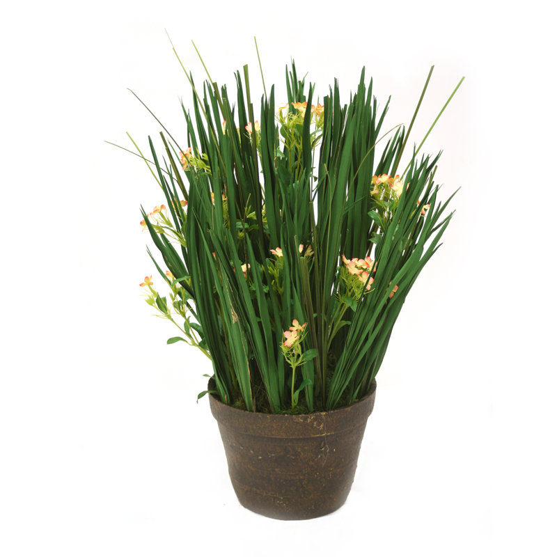 25'' Faux Onion Grass Grass in Terracotta Planter