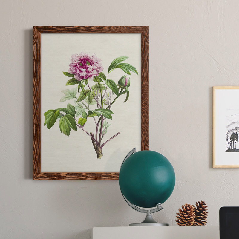 «Pretty Pink Botanicals V», reproduction sur toile encadrée, Érable encadré, H 23 po x l 32 po x P 1 po