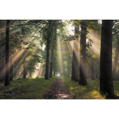 «Signs Of Angels On Canvas» par Martin Podt, reproduction