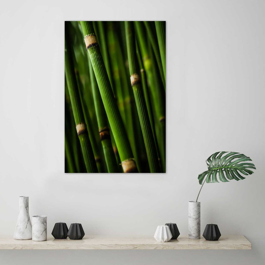 Fotodruck Bamboo Forest