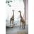 Iron Frame Vertical Rectangle Mirror