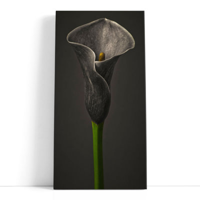 Calla Lilies 1 - reproduction d'art sur toile