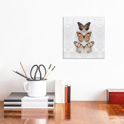 Three Speckled Butterflies by Alyson Fennell - Wrapped Canvas Gallery-Wrapped Canvas Giclée