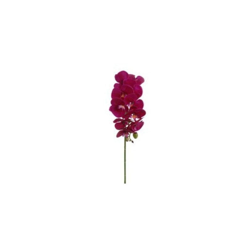 Arrangement d'orchidées