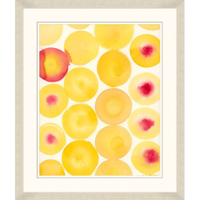 Sun Slices Print