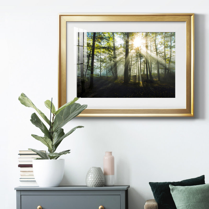 Light and Trees - Photographie avec cadre photo, Cadre doré, H 26,5 po x l 36,5 po x P 1,5 po