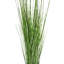 Faux Bamboo Plant-964757449