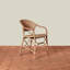 Antibes Arm Chair