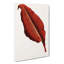 Red Leaf - Wrapped Canvas-55341545