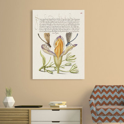 From The Model Book Of Calligraphy, VI by Bocskay Hoefnagel - Art Prints on Canvas