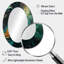 Miroir mural abstrait vert et doré - III-1376231702