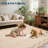 Floral Scalloped Non Slip Washable Area Rug for Living Room Bedroom, Low Pile  Thin Solid Home Decor Carpet-1132928149-1132928150
