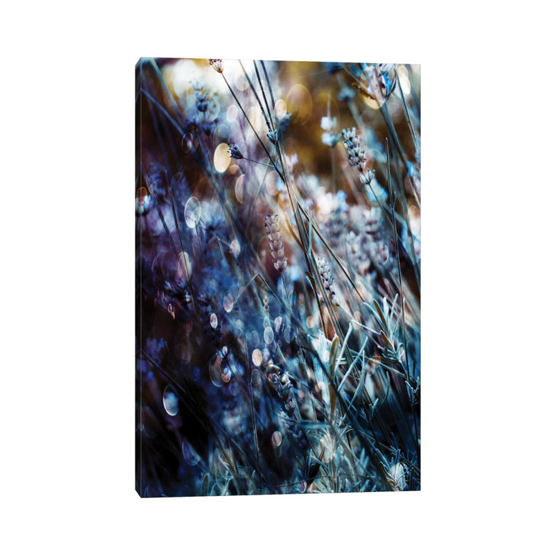 Flowers, Bubbles & Dreams by Delphine Devos - Wrapped Canvas Print, 20.32 cm H x 30.48 cm W