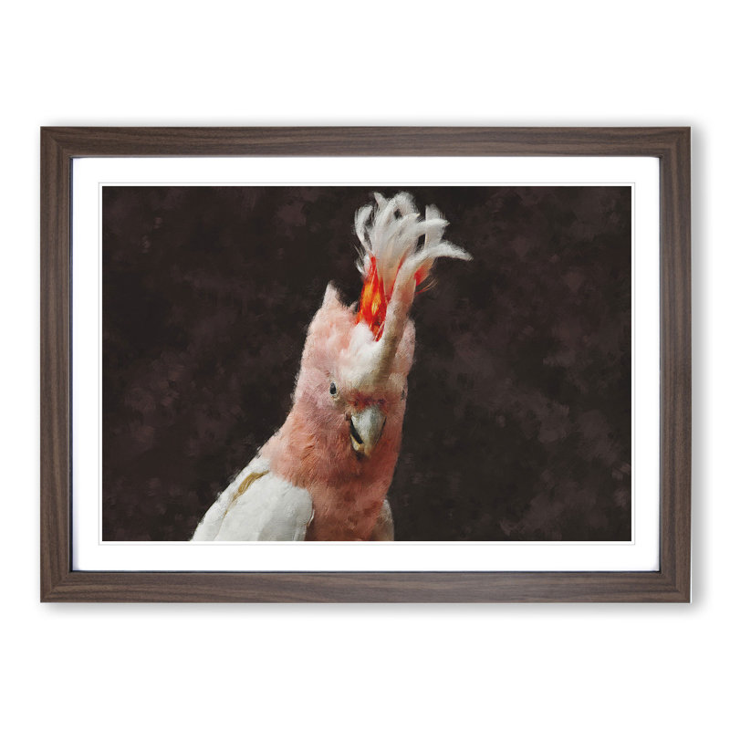 Cockatoo Bird Vol.1 - Picture Frame Graphic Art, Walnut Framed, 48cm H x 65cm W x 2cm D