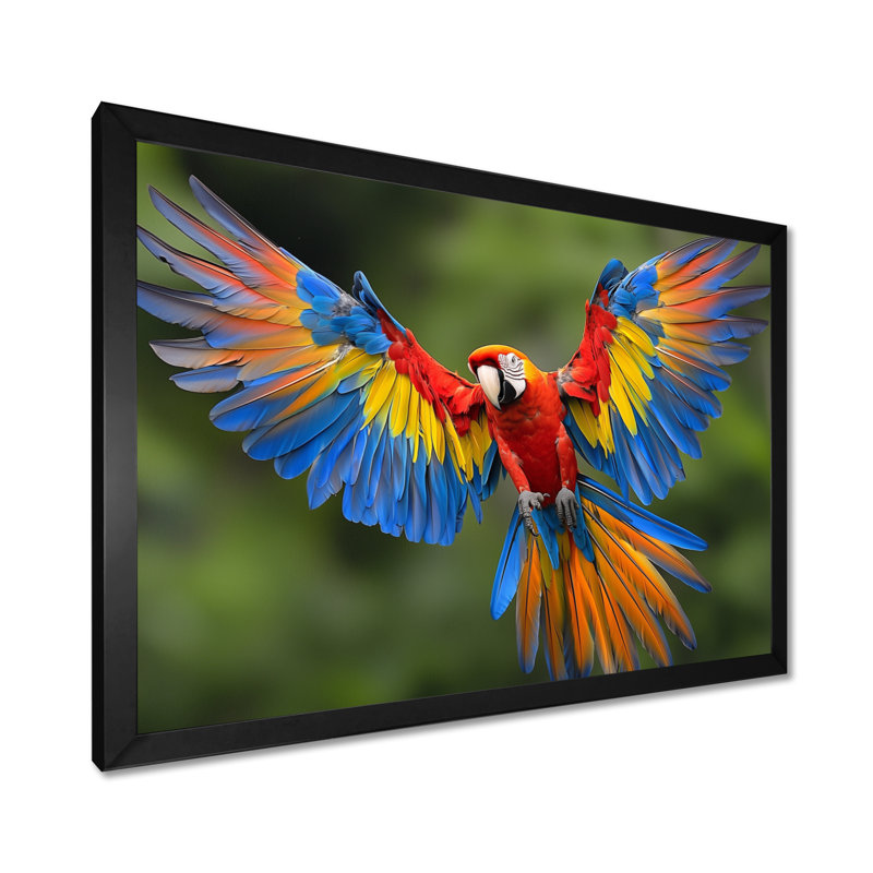 «Vibrant Macaw Flying Photo», art mural oiseau, H 24 po x l 32 po, Cadre simple, Noir