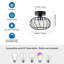 1 - Light Chandelier
