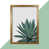 Honey Oak Frame selected