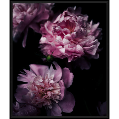 Morning Dew On Flowers Giclee Print