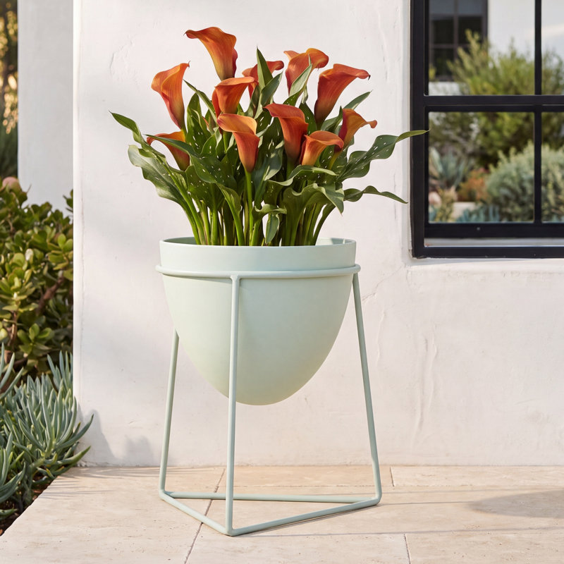 Plant Stand