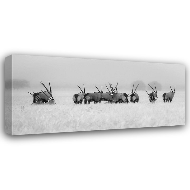 Art sur toile tendue Art Gallery, Trubitsyn, Kirill: Oryx sous la pluie, 21" H x 40" W