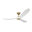Burnished Brass with White Blades