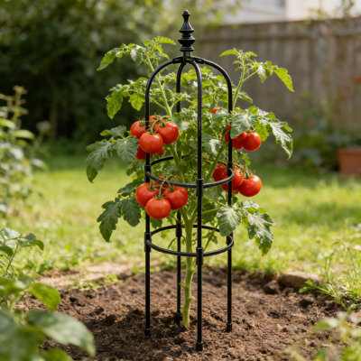 Treillis Obélisque pour plantes grimpantes Black Garden