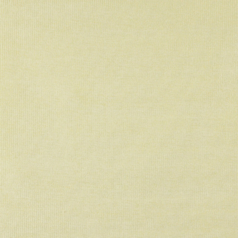Tissu velours, Vert