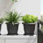 Round Flower Pot 6 Pcs Plastic-465710654-465710651