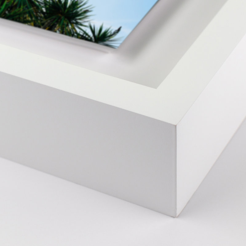 Palm Trees Print by Oliver Cole, White, 29" H x 40" W x 2.5" D