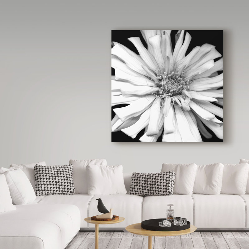 «Zinnia Black and White» par Dosta, impression sur toile tendue, H 24 po x l 24 po x P 2 po