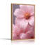 Toile rose avec gouttelettes d'eau sur pétales-132732275