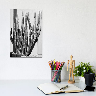 Black California Series - Cactus Style - Wrapped Canvas Print