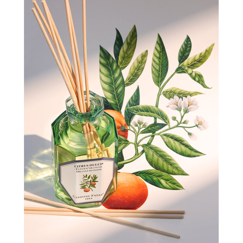 Orange Blossom Reed Diffuser