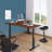 Roshina Adjustable L-Shaped Metal Base Standing Desk-1127846982