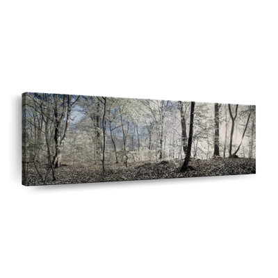 Forest Winter Daybreak Canvas Print