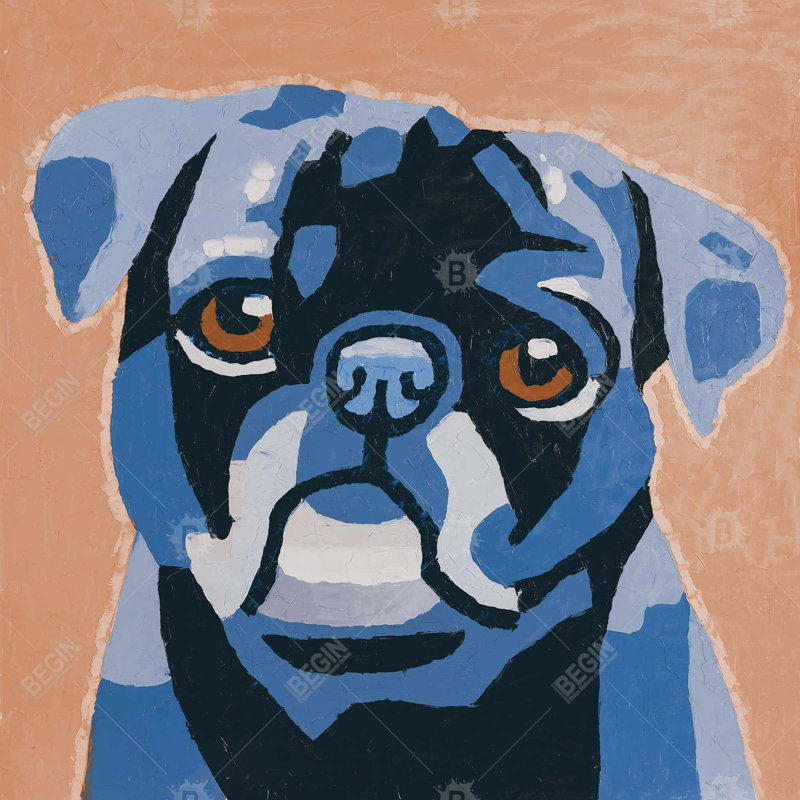 «Flash The Pug»