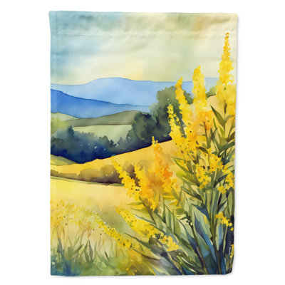 Double Sided 40'' H x 28'' W Polyester House Flag